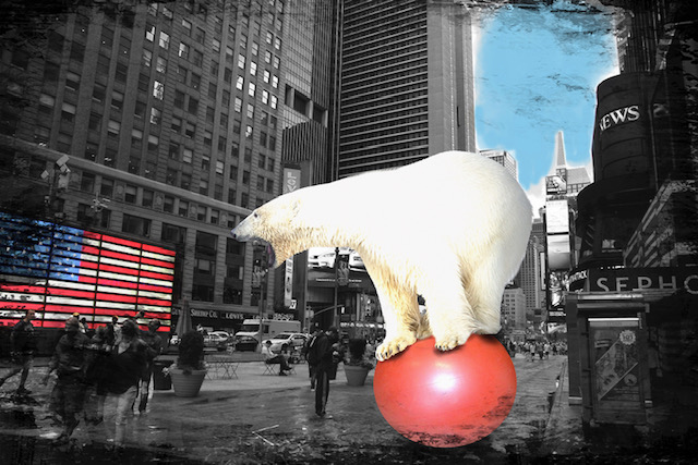 polar