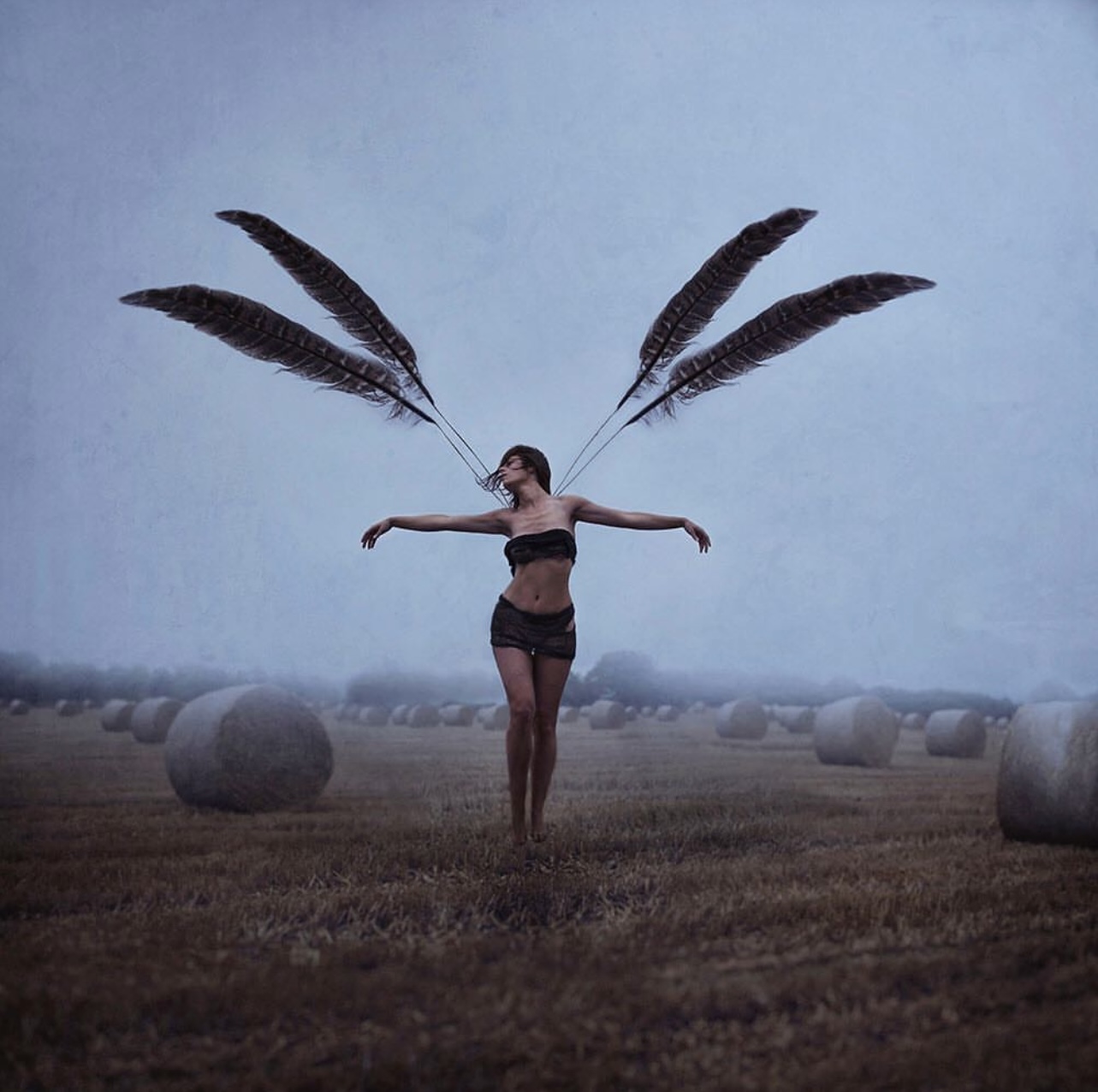 With brave wings she flies